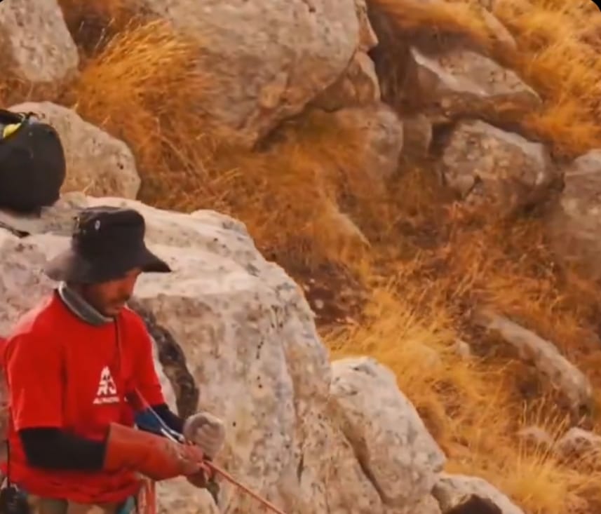 3Db05C43 7A97 4D85 Bac7 3106D84Dae13