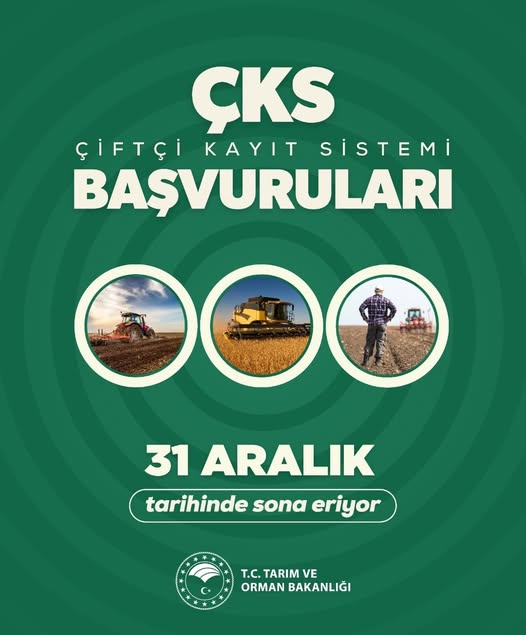 599922447 1187275610177224 6537181858944180440 N