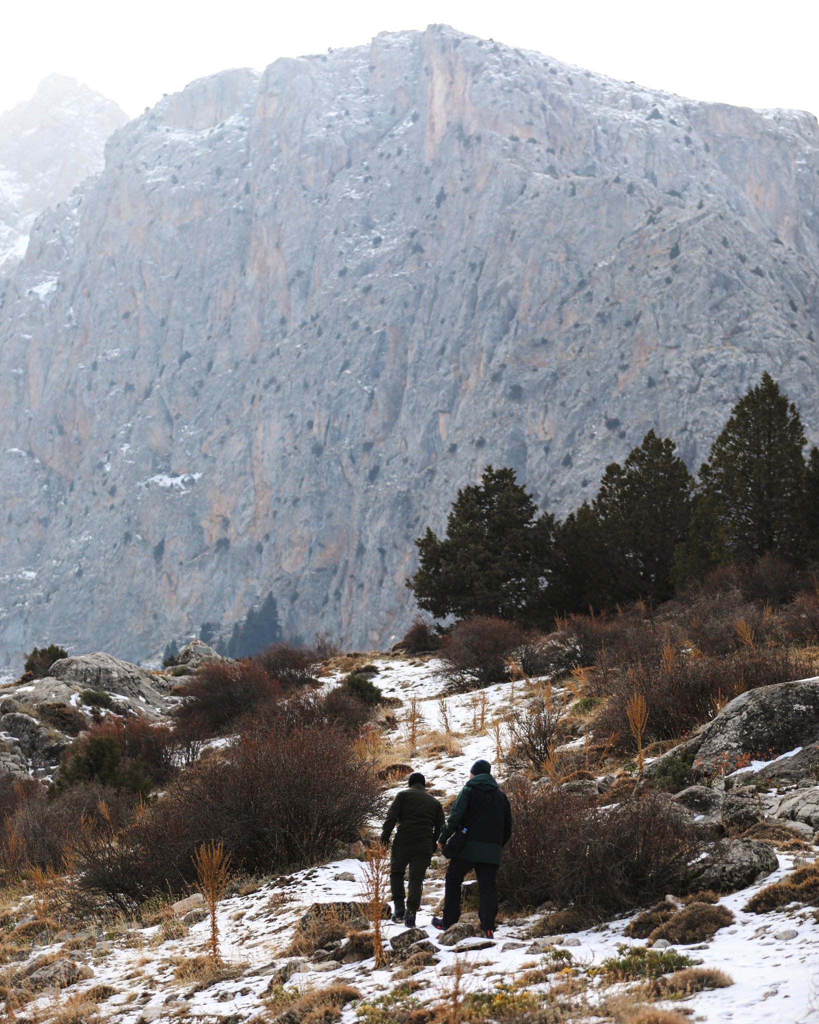 G83A T K K X U A A V Wgv