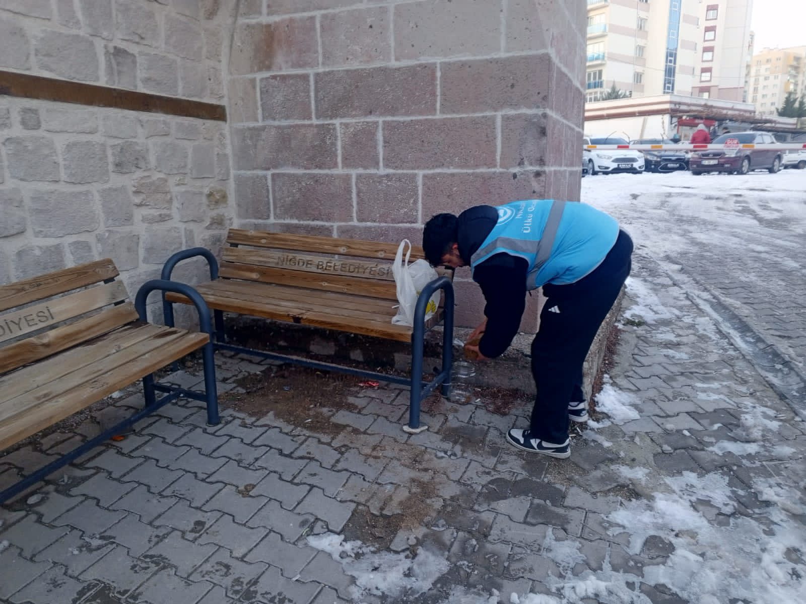 608506240 1305043194997928 8500297895954146163 N