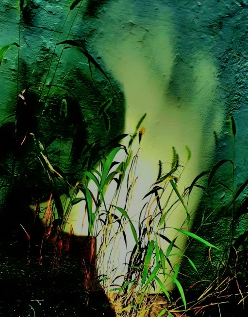 Deok Hee Hong 1 The Canon Variations Via Green Life (2023) 5