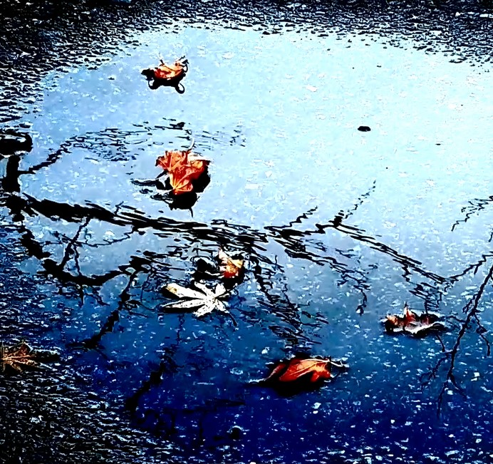 Deok Hee Hong 2 Autumn Leaves Of Heisenberg (2023) 6 (1)