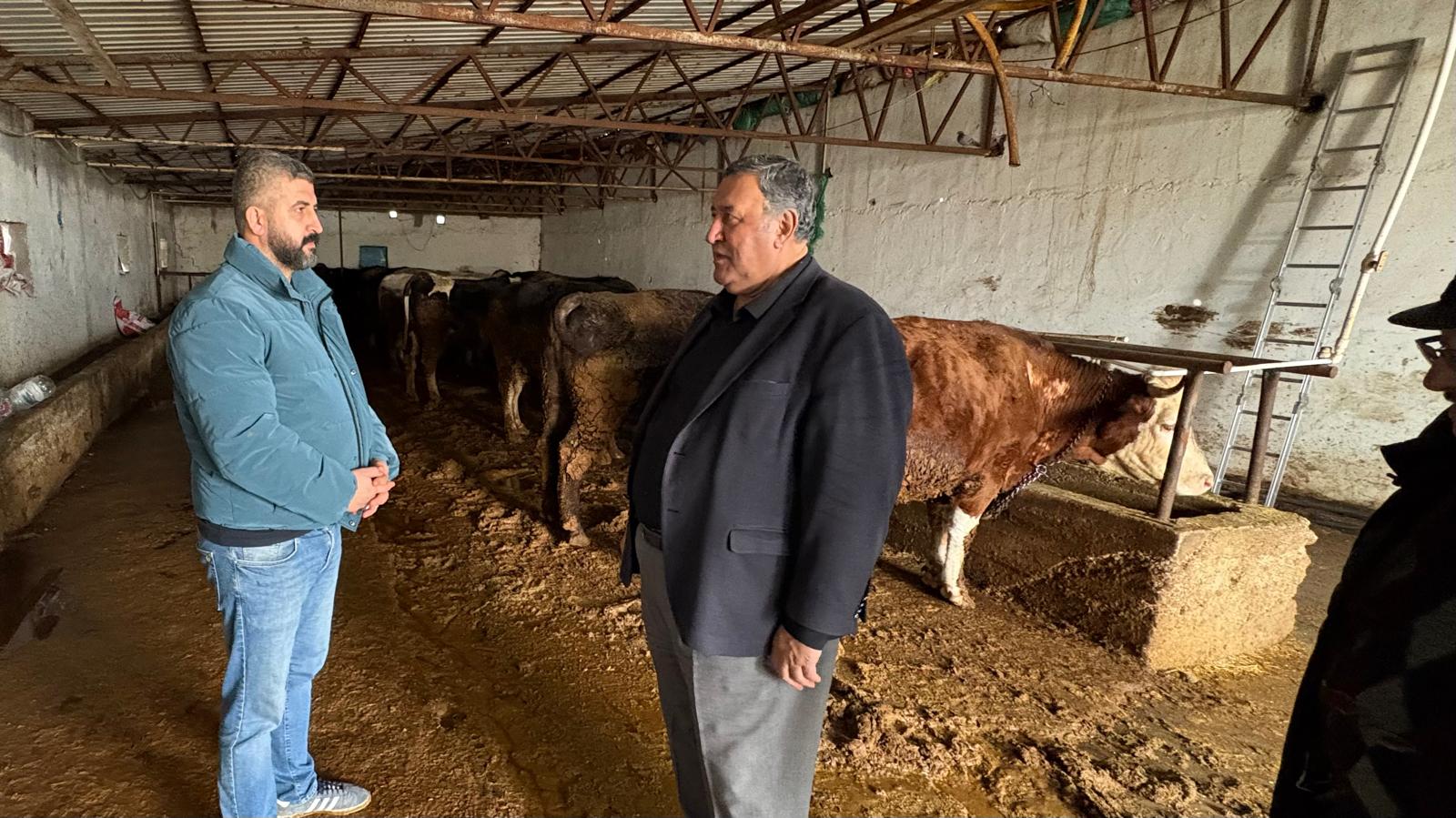 Milletvekili Gürer Şap Hastalığı Hayvancılığı Vuruyor 2