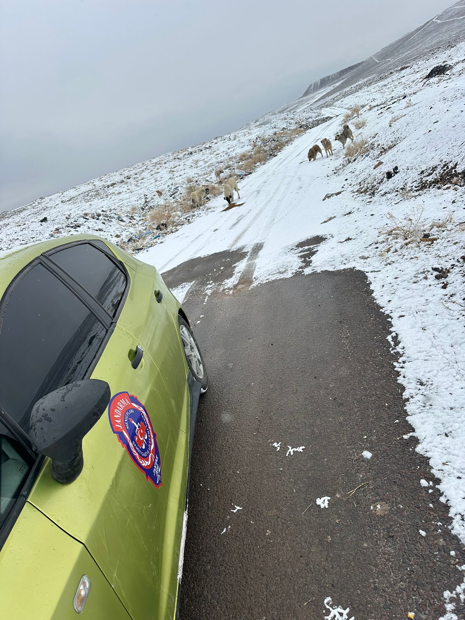 Whatsapp Image 2026 01 18 At 09.54.59 (1)