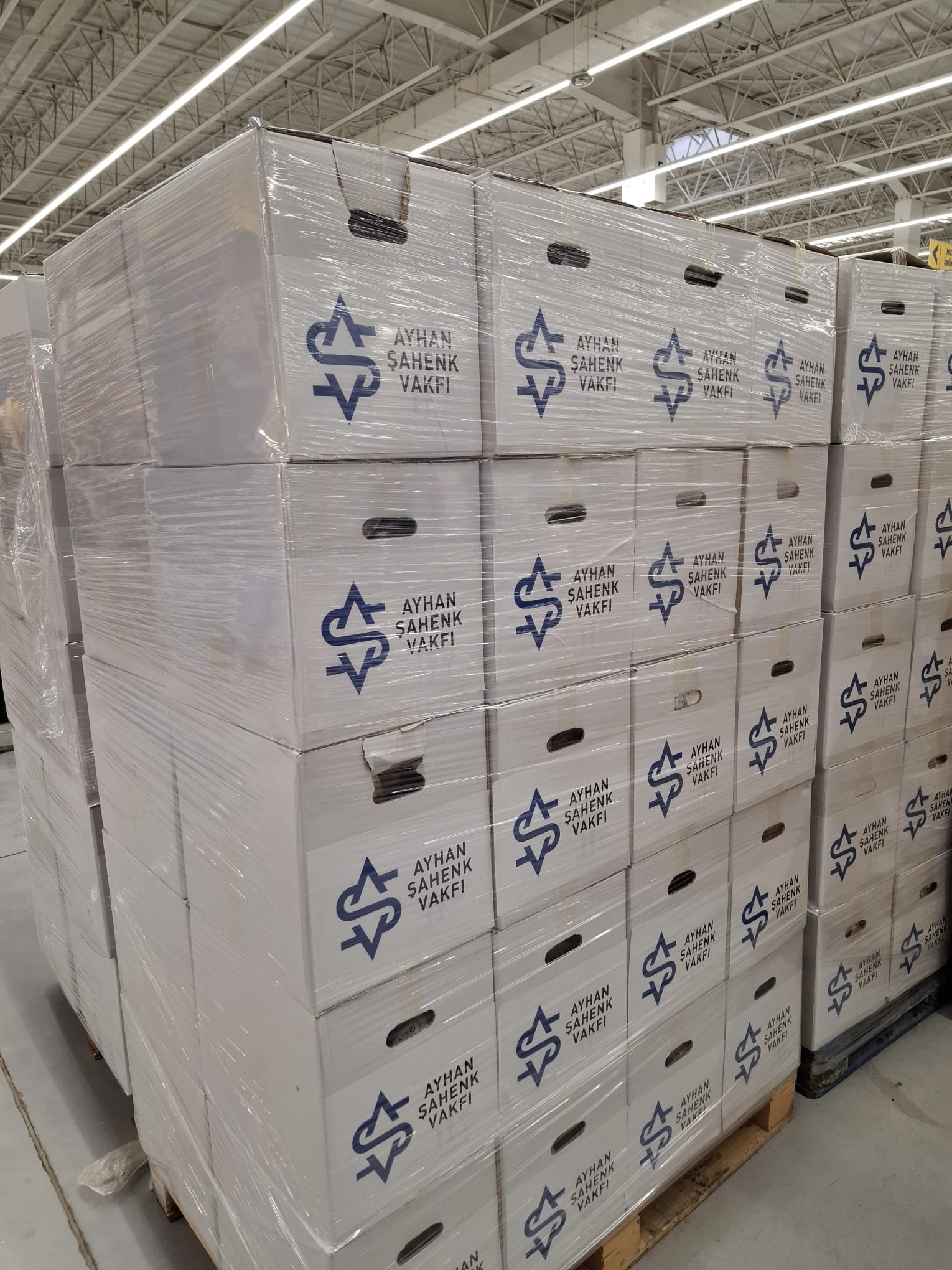 1770362216 Whats App Image 2026 02 02 At 08.29.33