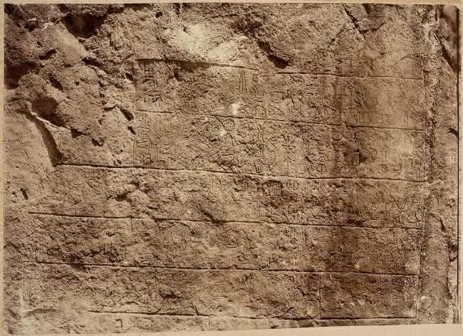 Whatsapp Image 2026 02 09 At 11.22.08 (1)