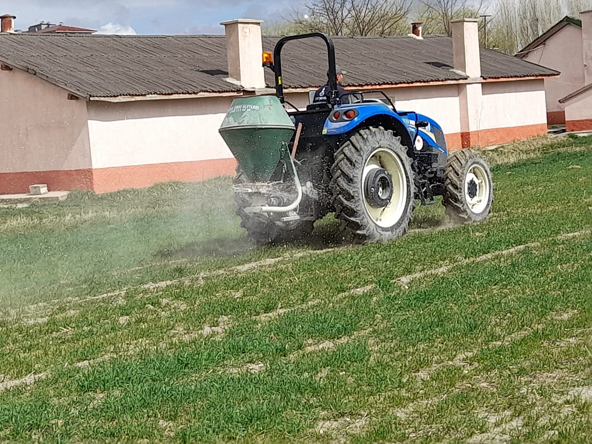 Yerli Buğday Taner’in Gübrelemesi Yapıldı 1