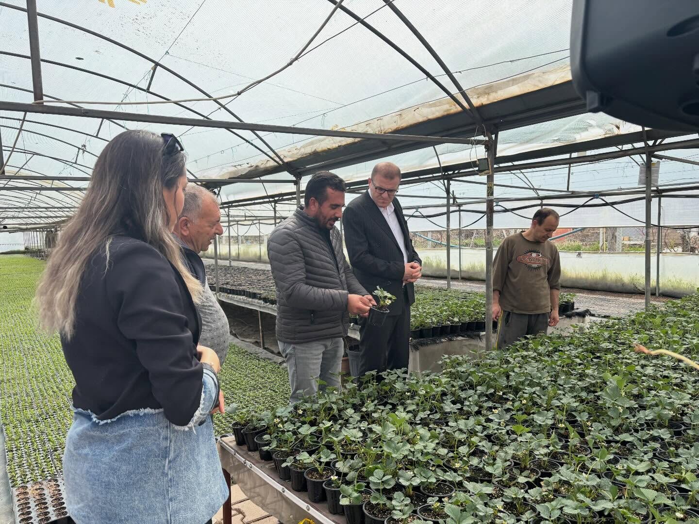 Bor’da Seralarda Inceleme 2