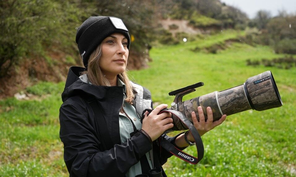 Dag Kecileri Drone Ile Görüntülendi Web Görsel