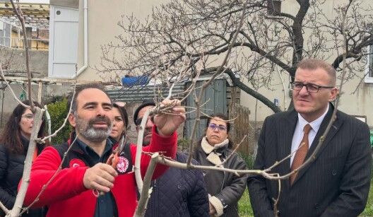 Doğru Budama Teknikleri Uygulamalı Öğretiliyor 2