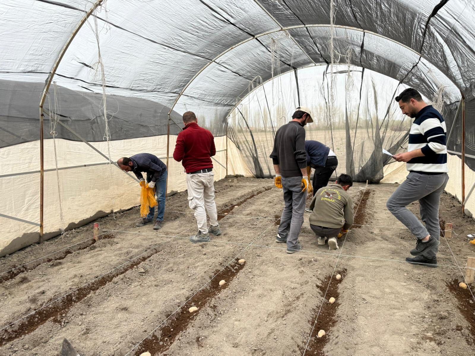 Enstitü ’De Yeni Sezon Islah Çalışmaları Başladı 2