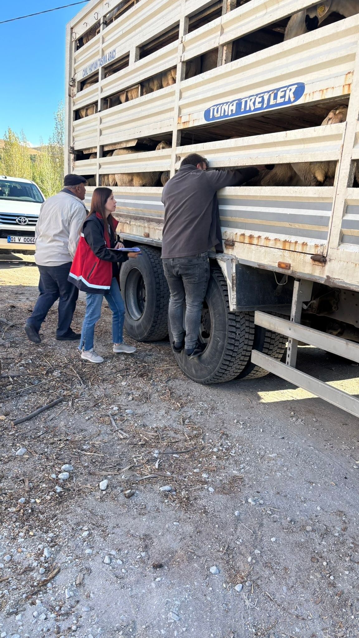 Veterinerler Kurban Denetimi Için Sahada 3