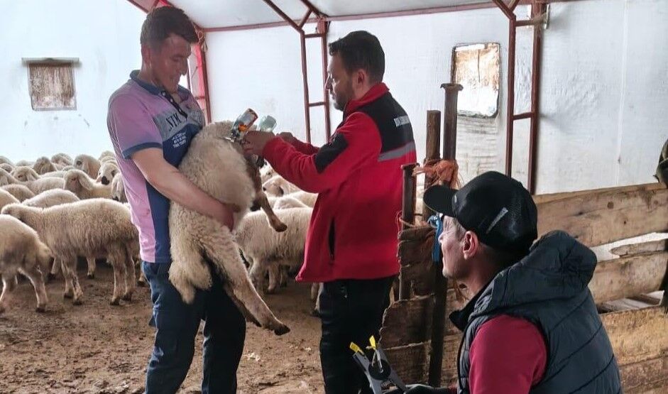 Yeşilay Yarışmasında Niğde’den Derece 1