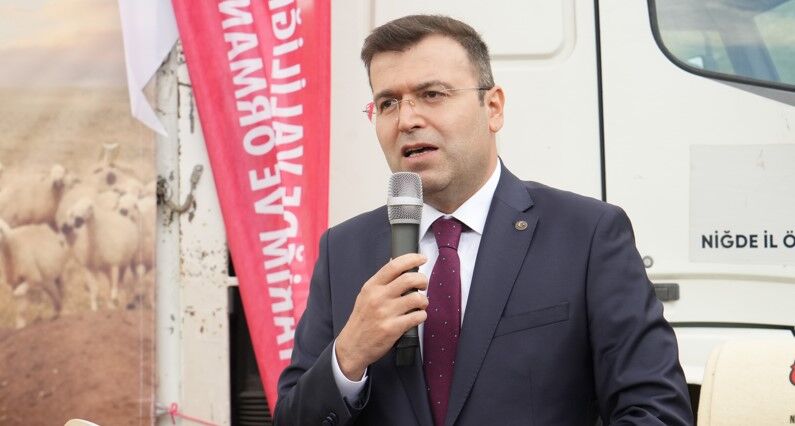 Küçükbaş Destek 3