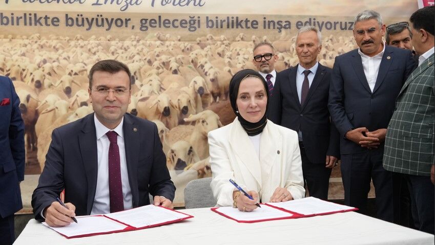 Küçükbaş Destek 5