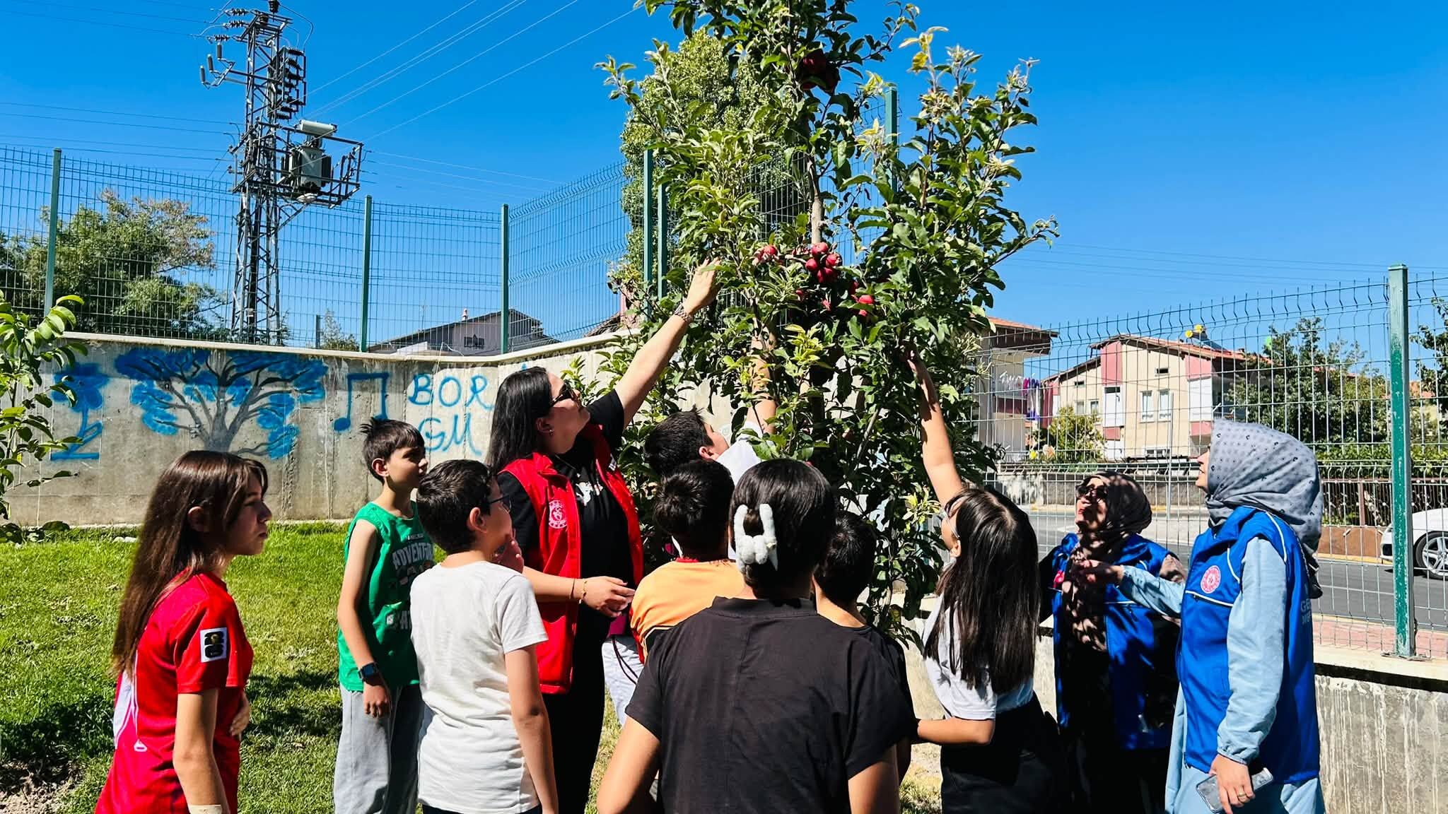 Gençlik Merkezi Hobi Bahçesi mahsul veriyor