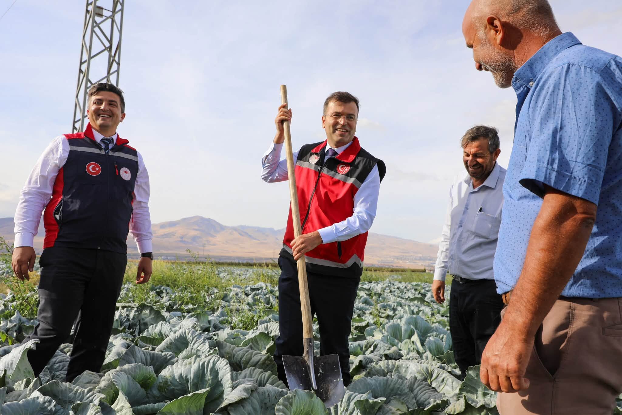 Vali Akmeşe’den Kaynarca’da inceleme ve hasat