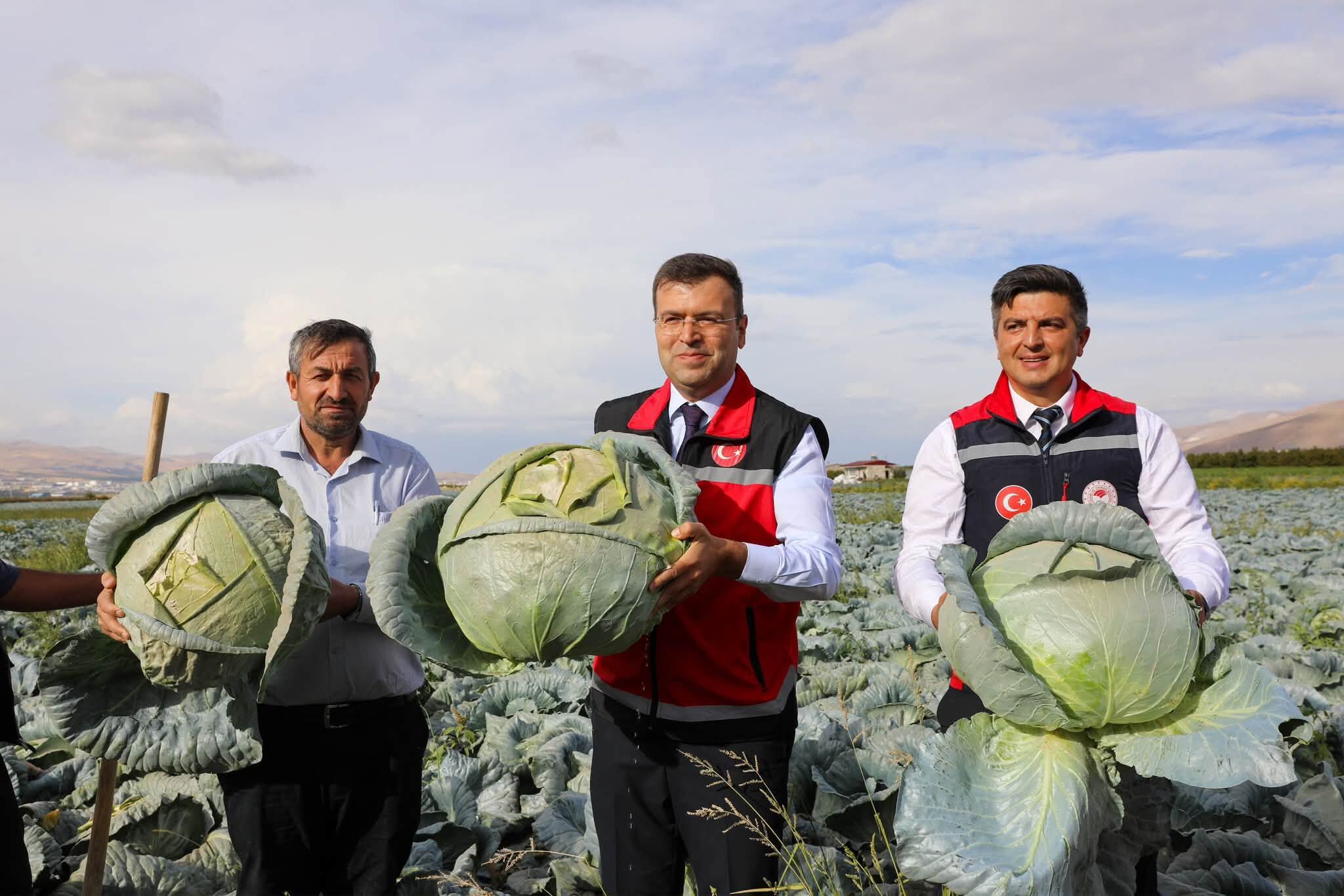 Vali Akmeşe’den Kaynarca’da Inceleme Ve Hasat 3