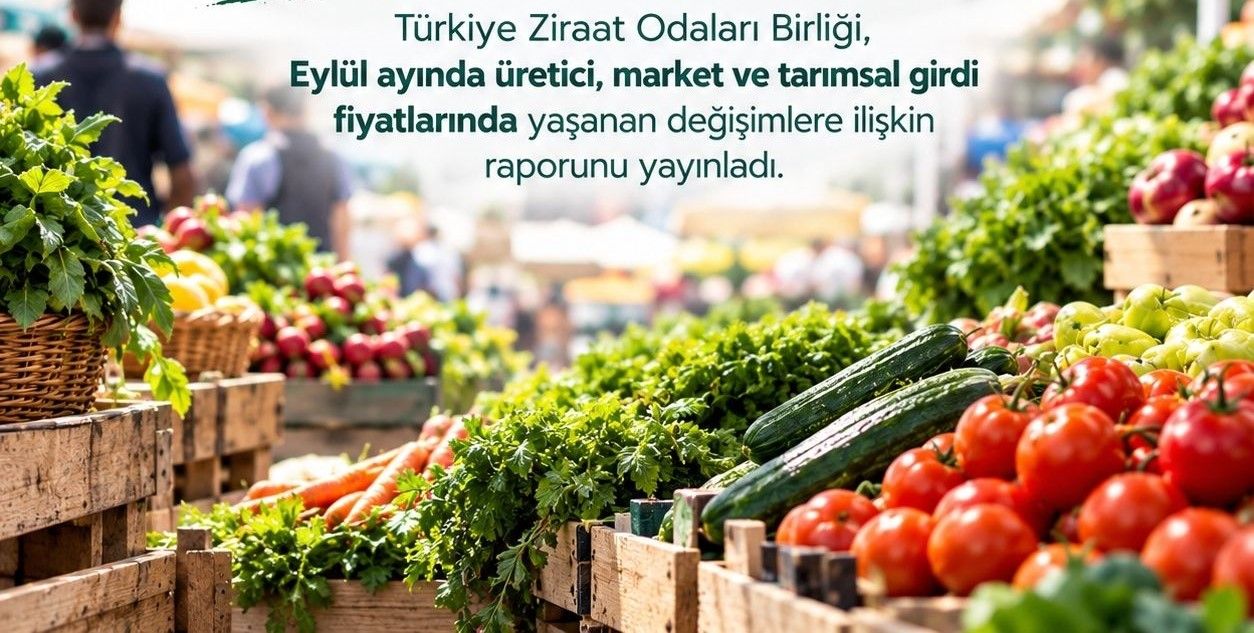 TZOB Eylül girdi maliyet raporu açıklandı